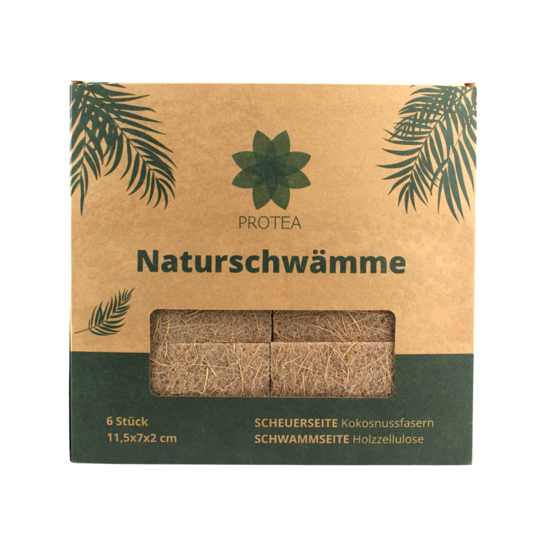 Protea® Nachhaltige Schwämme