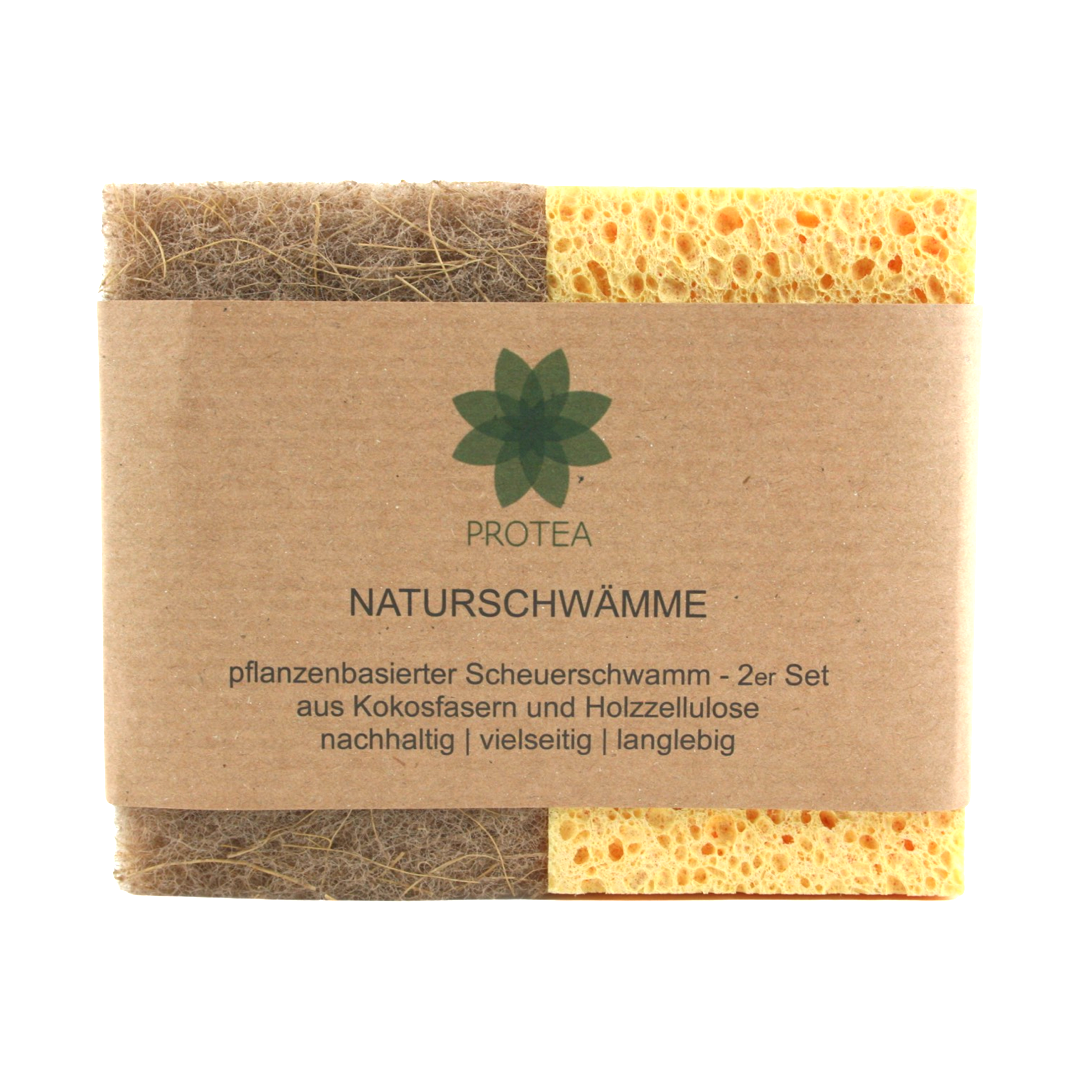 Protea® Nachhaltige Schwämme