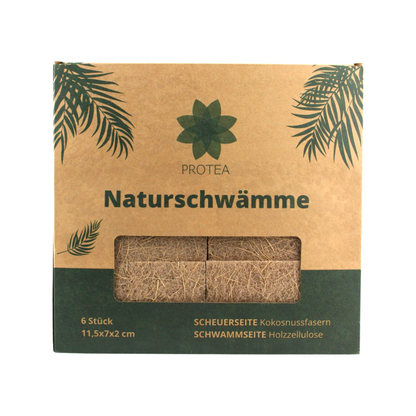 Protea® Nachhaltige Schwämme